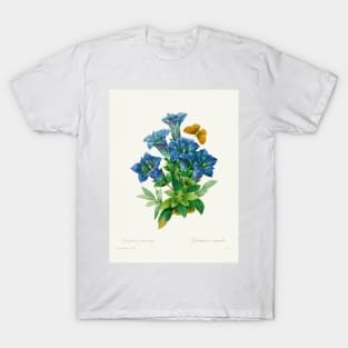 Gentiana - Botanical Illustration T-Shirt